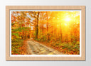Cuadro enmarcado natural paisaje bosque atardecer,naturaleza