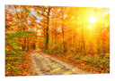 Cuadro paisaje bosque atardecer,naturaleza