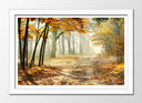 Cuadro enmarcado blanco paisaje bosque atardecer,naturaleza