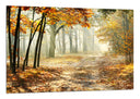 Cuadro paisaje bosque atardecer,naturaleza