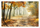 Lámina paisaje bosque atardecer,naturaleza