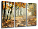 Tríptico paisaje bosque atardecer,naturaleza