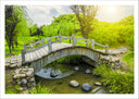 Lámina Paisaje Puente Sobre Rio en el Bosque,naturaleza