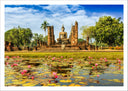 Lámina buda oriental ,tailandia ,nenufares ,relajacion, meditacion, zen