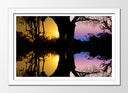 Cuadro enmarcado blanco Puesta de Sol en el Bosque,naturaleza