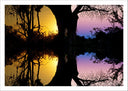 Lámina Puesta de Sol en el Bosque,naturaleza