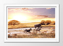 Cuadro enmarcado blanco Atardecer en el Desierto, Animales Salvajes,naturaleza
