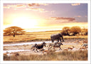 Lámina Atardecer en el Desierto, Animales Salvajes,naturaleza