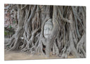 Cuadro buda oriental, raices, arbol, relajacion, meditacion, zen