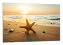 Cuadro estrella de mar, playa, atardecer