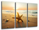 Tríptico estrella de mar, playa, atardecer