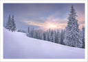 Lámina Bosque Nevado Atardecer, Nieve,naturaleza