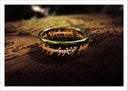 Lámina EL Anillo de Poder El señor de los Anillos