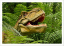 Lámina Infantil Dinosaurios T-Rex