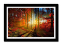 Cuadro enmarcado negro Paisaje Bosque Atardecer Otono,naturaleza