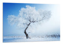 Cuadro Paisaje Invierno, Arbol Nevado,naturaleza