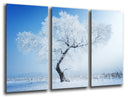 Tríptico Paisaje Invierno, Arbol Nevado,naturaleza