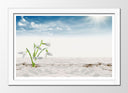 Cuadro enmarcado blanco Paisaje Desierto, Dunas,naturaleza