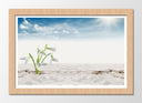 Cuadro enmarcado natural Paisaje Desierto, Dunas,naturaleza