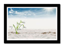 Cuadro enmarcado negro Paisaje Desierto, Dunas,naturaleza