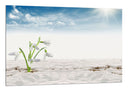Cuadro Paisaje Desierto, Dunas,naturaleza