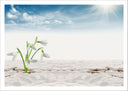 Lámina Paisaje Desierto, Dunas,naturaleza