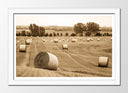 Cuadro enmarcado blanco paisaje rural, color sepia, vintage