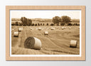 Cuadro enmarcado natural paisaje rural, color sepia, vintage