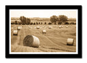 Cuadro enmarcado negro paisaje rural, color sepia, vintage