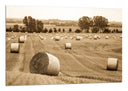 Cuadro paisaje rural, color sepia, vintage