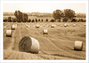 Lámina paisaje rural, color sepia, vintage