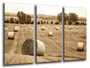 Tríptico paisaje rural, color sepia, vintage