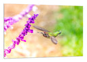 Cuadro Naturaleza, Colibri, Flor Macro
