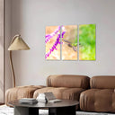 Naturaleza, Colibri, Flor Macro