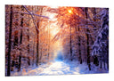 Cuadro Bosque Invierno, Paisaje Naturaleza