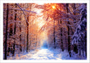 Lámina Bosque Invierno, Paisaje Naturaleza