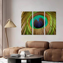 Estancia plumas pavo real, naturaleza, animales