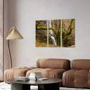 Bosque, Arbol, Naturaleza,otoño