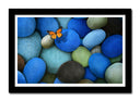 Cuadro enmarcado negro imagen naturaleza, conjunto de piedras azules con mariposa