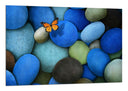 Cuadro imagen naturaleza, conjunto de piedras azules con mariposa