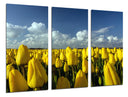 Tríptico Campo de Tulipanes Amarillos,naturaleza