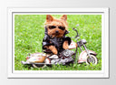 Cuadro enmarcado blanco perro con moto, naturaleza, infantil