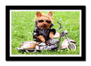 Cuadro enmarcado negro perro con moto, naturaleza, infantil