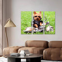 Estancia perro con moto, naturaleza, infantil