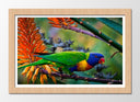 Cuadro enmarcado natural Loro Caribe Exotico, Naturaleza,rama