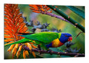 Cuadro Loro Caribe Exotico, Naturaleza,rama