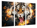 Tríptico tigre , animal, naturaleza
