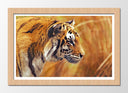 Cuadro enmarcado natural tigre, naturaleza animal