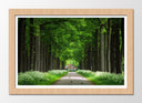 Cuadro enmarcado natural Bosque , Casa Madera, Arboles,naturaleza