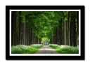 Cuadro enmarcado negro Bosque , Casa Madera, Arboles,naturaleza
